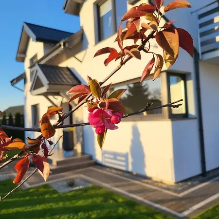 Lodge Cichy - Podgrzewany Basen, Sauna I Jacuzzi W Cenie Pobytu *