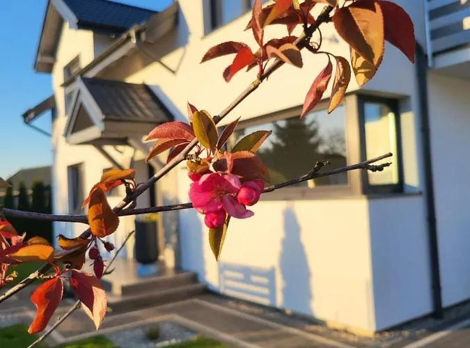 Jaktstuga Cichy - Podgrzewany Basen, Sauna I Jacuzzi W Cenie Pobytu *